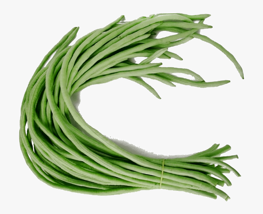 Detail Green Beans Clipart Nomer 11