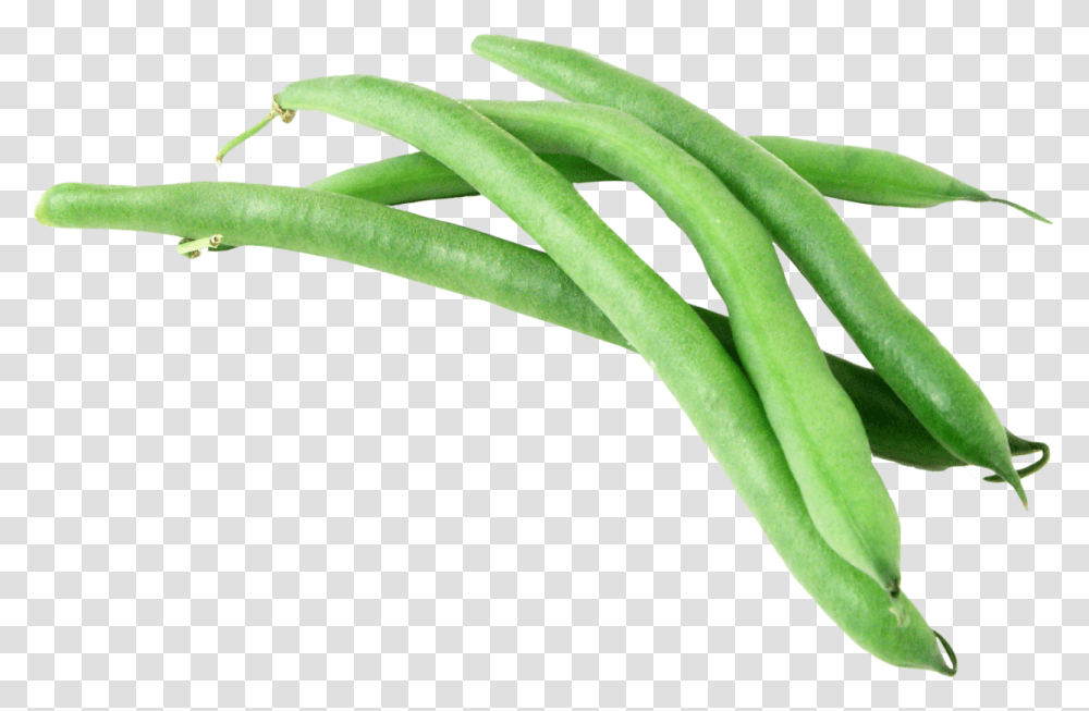 Detail Green Beans Clipart Nomer 17
