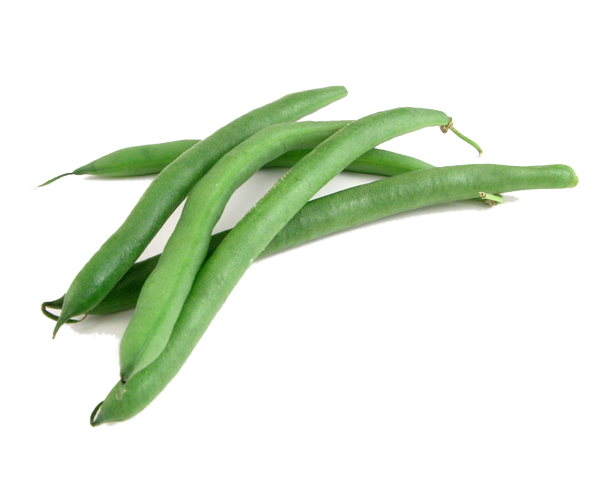 Detail Green Beans Clipart Nomer 23