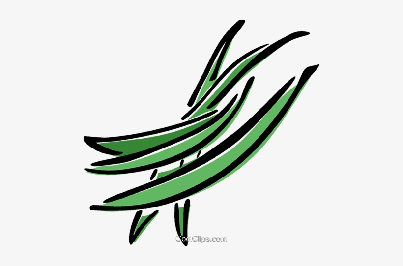 Detail Green Beans Clipart Nomer 24