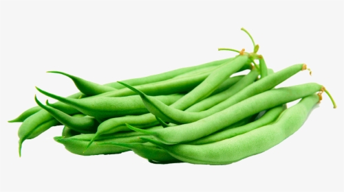 Detail Green Beans Clipart Nomer 27