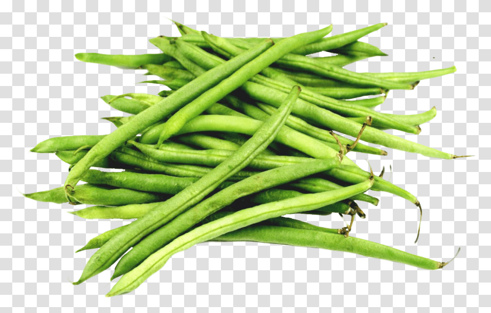 Detail Green Beans Clipart Nomer 30