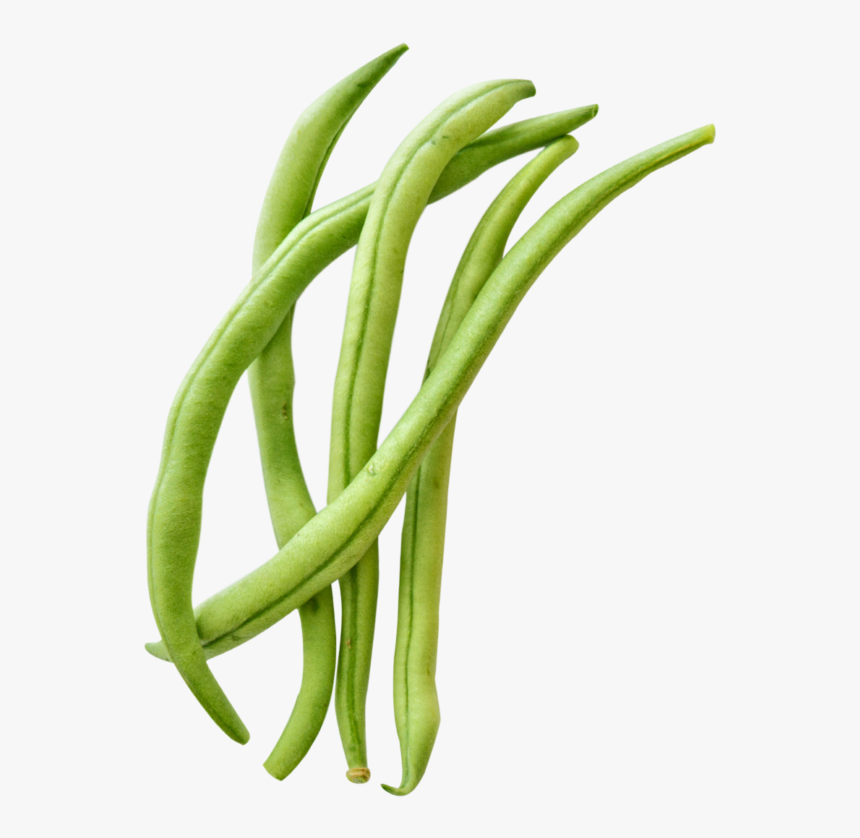 Detail Green Beans Clipart Nomer 4