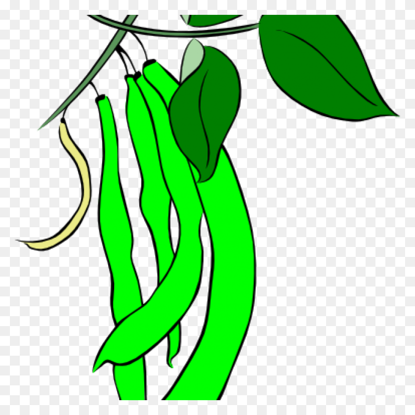 Detail Green Beans Clipart Nomer 34