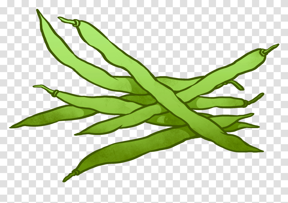 Detail Green Beans Clipart Nomer 5