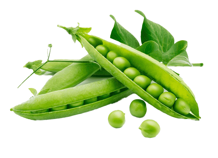 Detail Green Beans Png Nomer 21