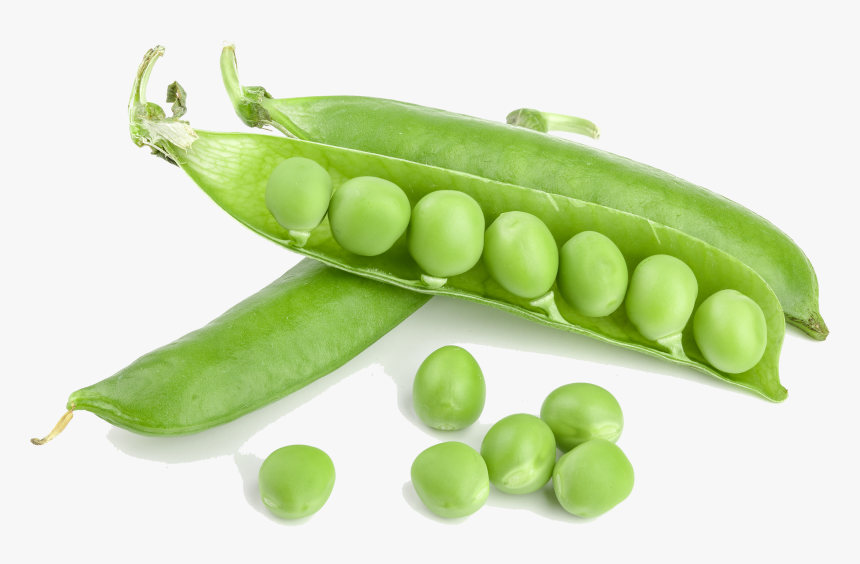 Detail Green Beans Png Nomer 22