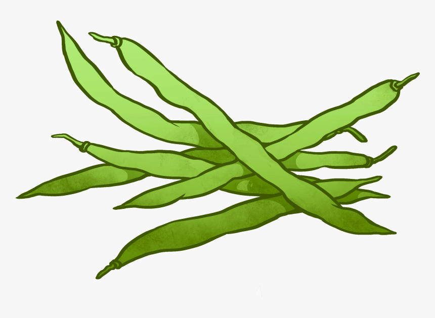 Detail Green Beans Png Nomer 26
