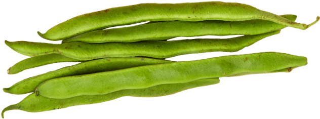 Detail Green Beans Png Nomer 30