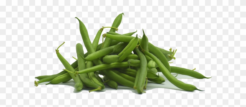 Detail Green Beans Png Nomer 32