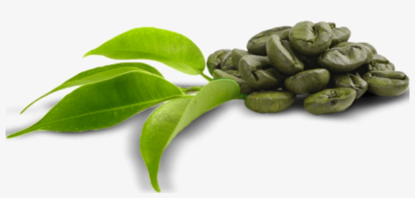 Detail Green Beans Png Nomer 33