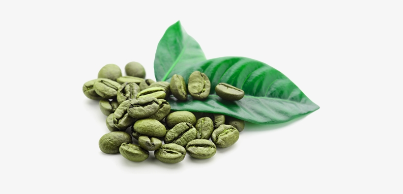 Detail Green Beans Png Nomer 40