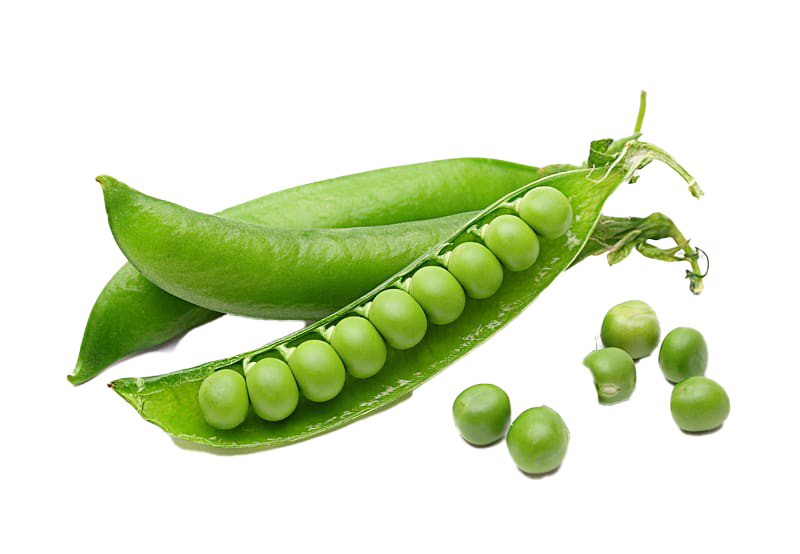 Detail Green Beans Png Nomer 41