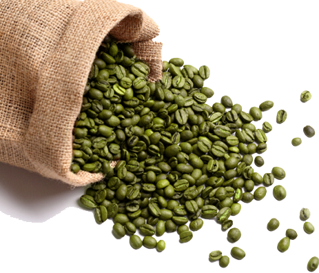 Detail Green Beans Png Nomer 52