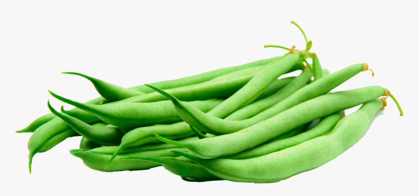 Green Beans Transparent - KibrisPDR