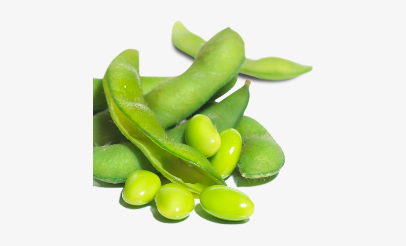 Detail Green Beans Transparent Nomer 28