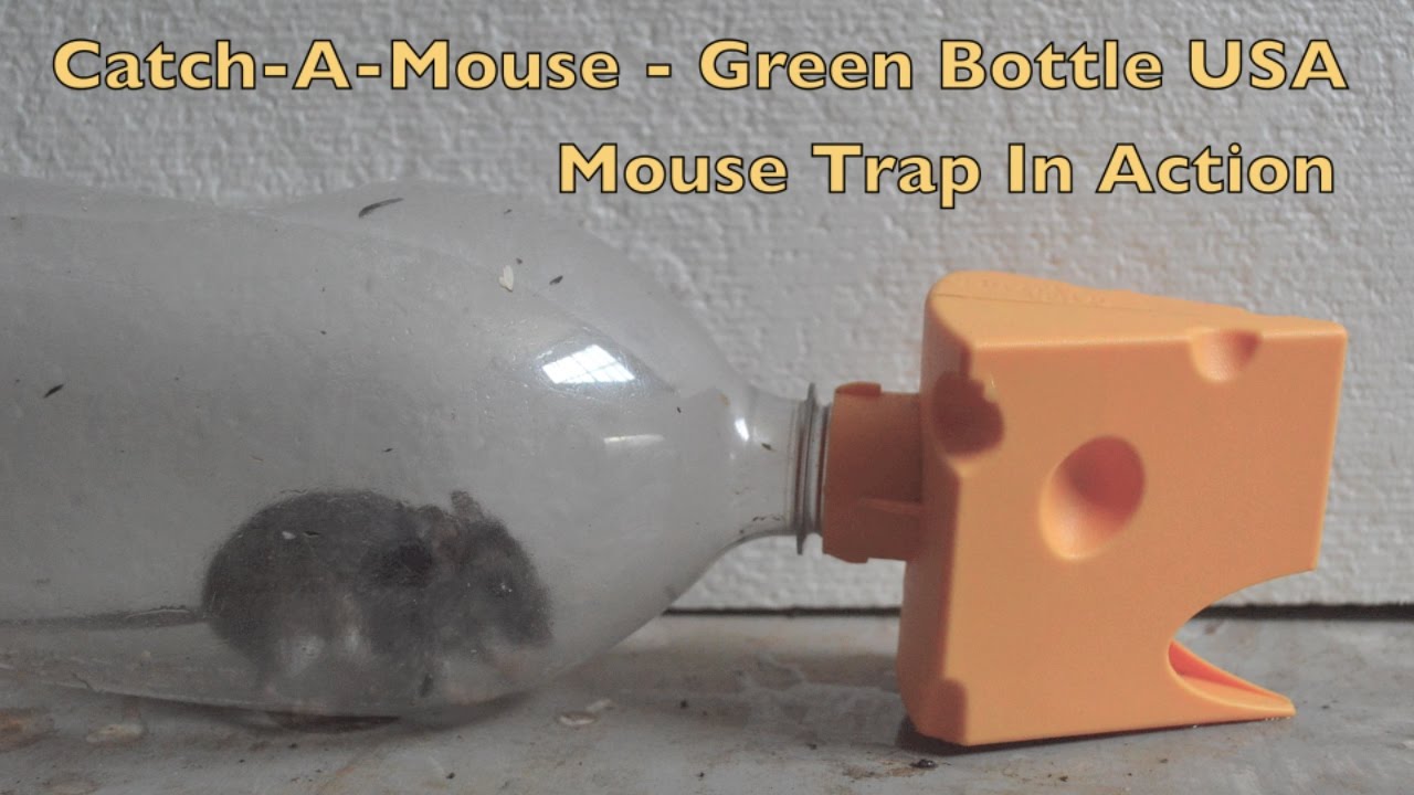 Detail Green Bottle Usa Mousetrap Nomer 5