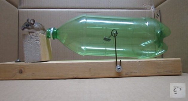 Detail Green Bottle Usa Mousetrap Nomer 40