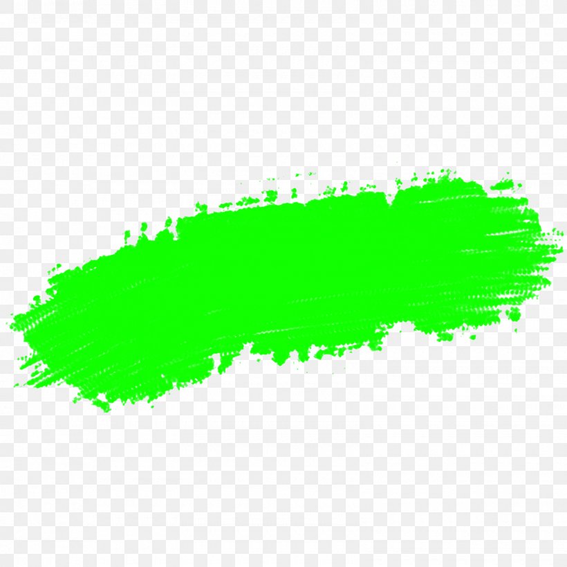 Detail Green Brush Png Nomer 2