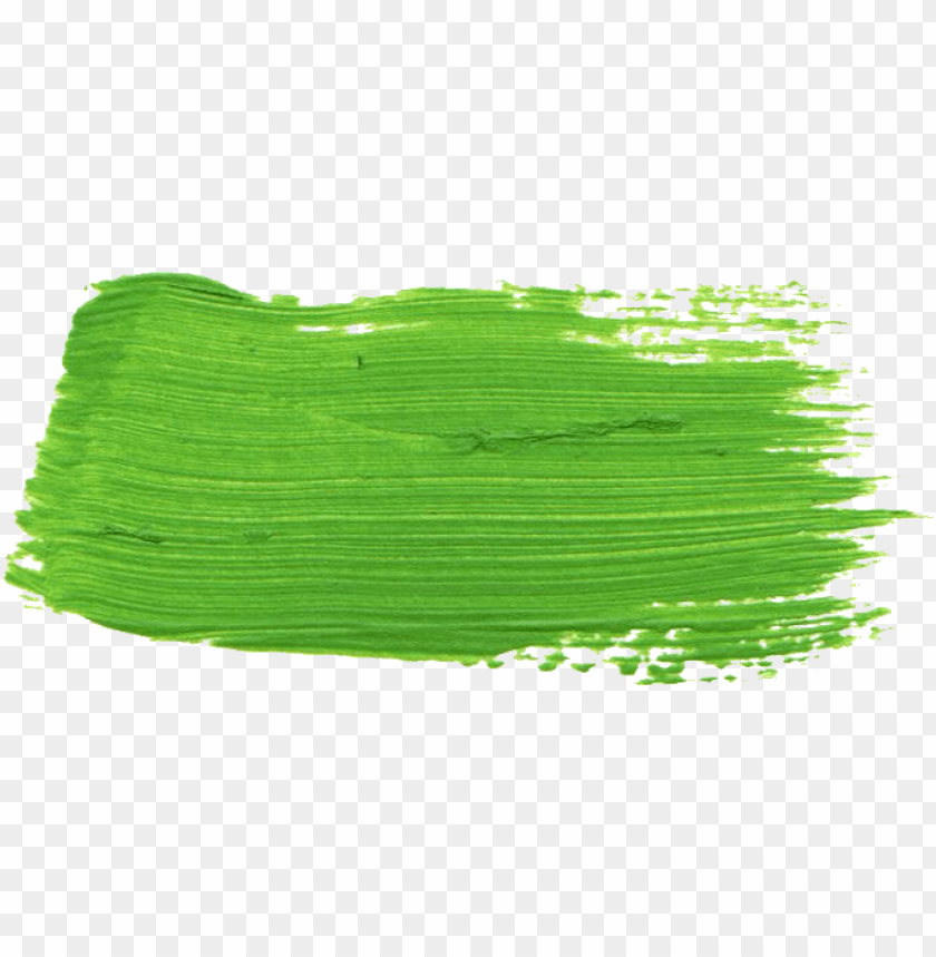 Detail Green Brush Png Nomer 3