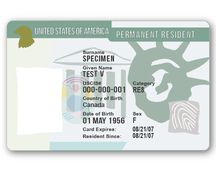 Detail Green Card Png Nomer 12