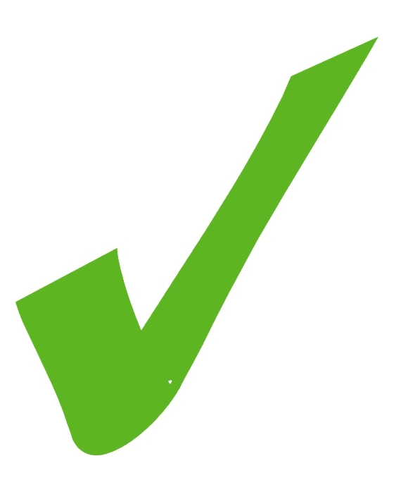 Detail Green Check Mark Png Nomer 37