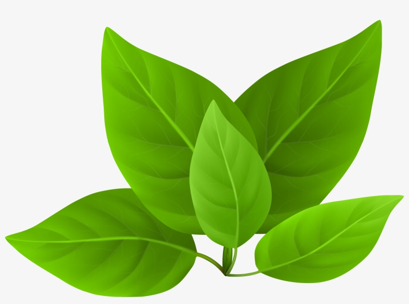 Detail Green Clipart Nomer 22