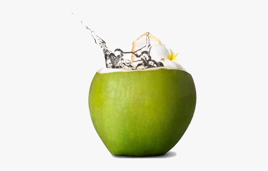 Detail Green Coconut Png Nomer 3
