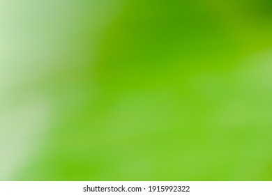 Detail Green Colour Background Nomer 27