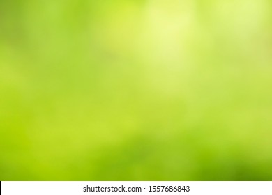 Detail Green Colour Background Nomer 56
