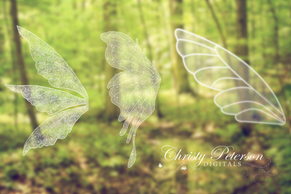 Detail Green Fairy Wings Png Nomer 24