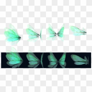 Detail Green Fairy Wings Png Nomer 38