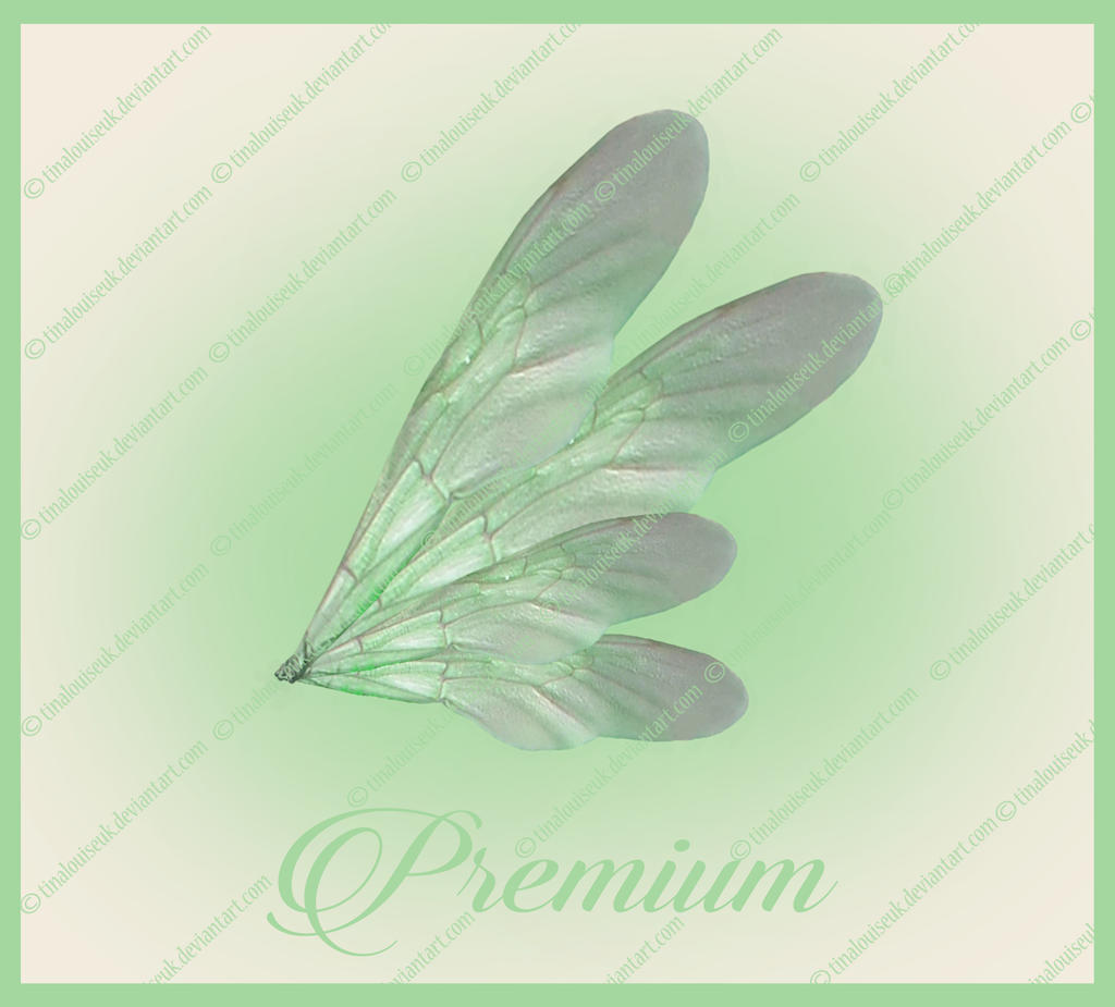 Detail Green Fairy Wings Png Nomer 40