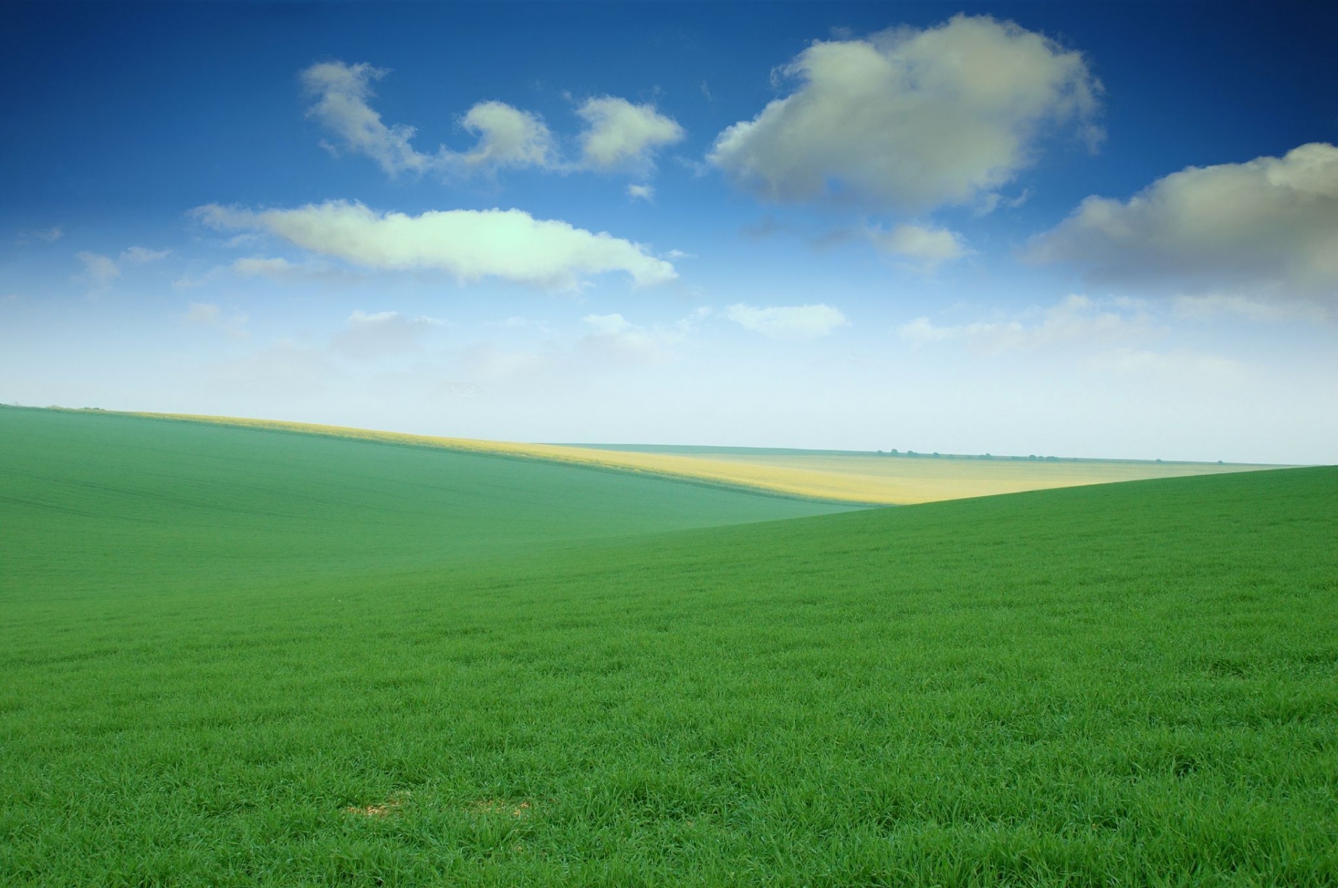 Detail Green Field Wallpaper Nomer 15