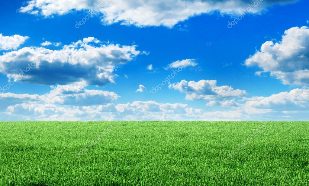 Detail Green Field Wallpaper Nomer 24