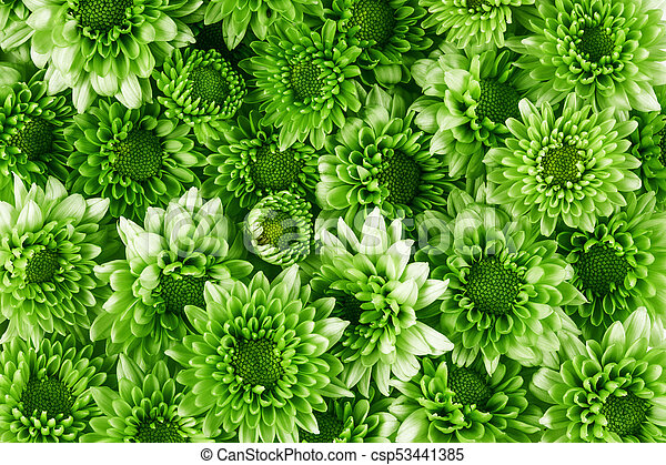 Detail Green Flower Background Nomer 34