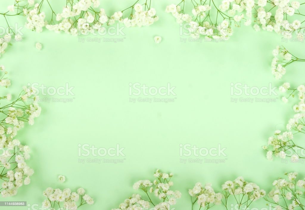 Detail Green Flower Background Nomer 35