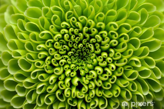 Detail Green Flower Background Nomer 44