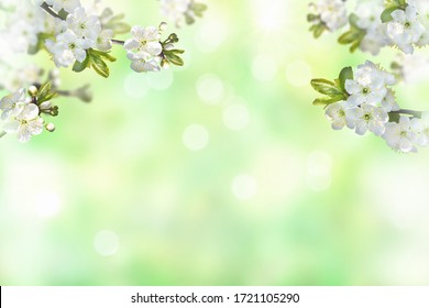 Detail Green Flower Background Nomer 46