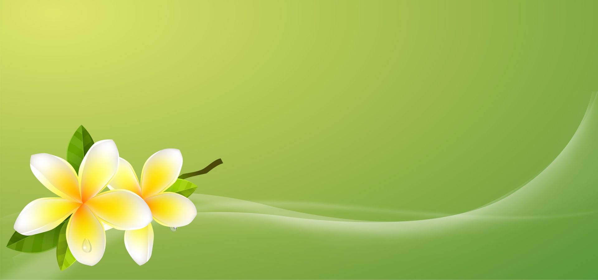 Detail Green Flower Background Nomer 49