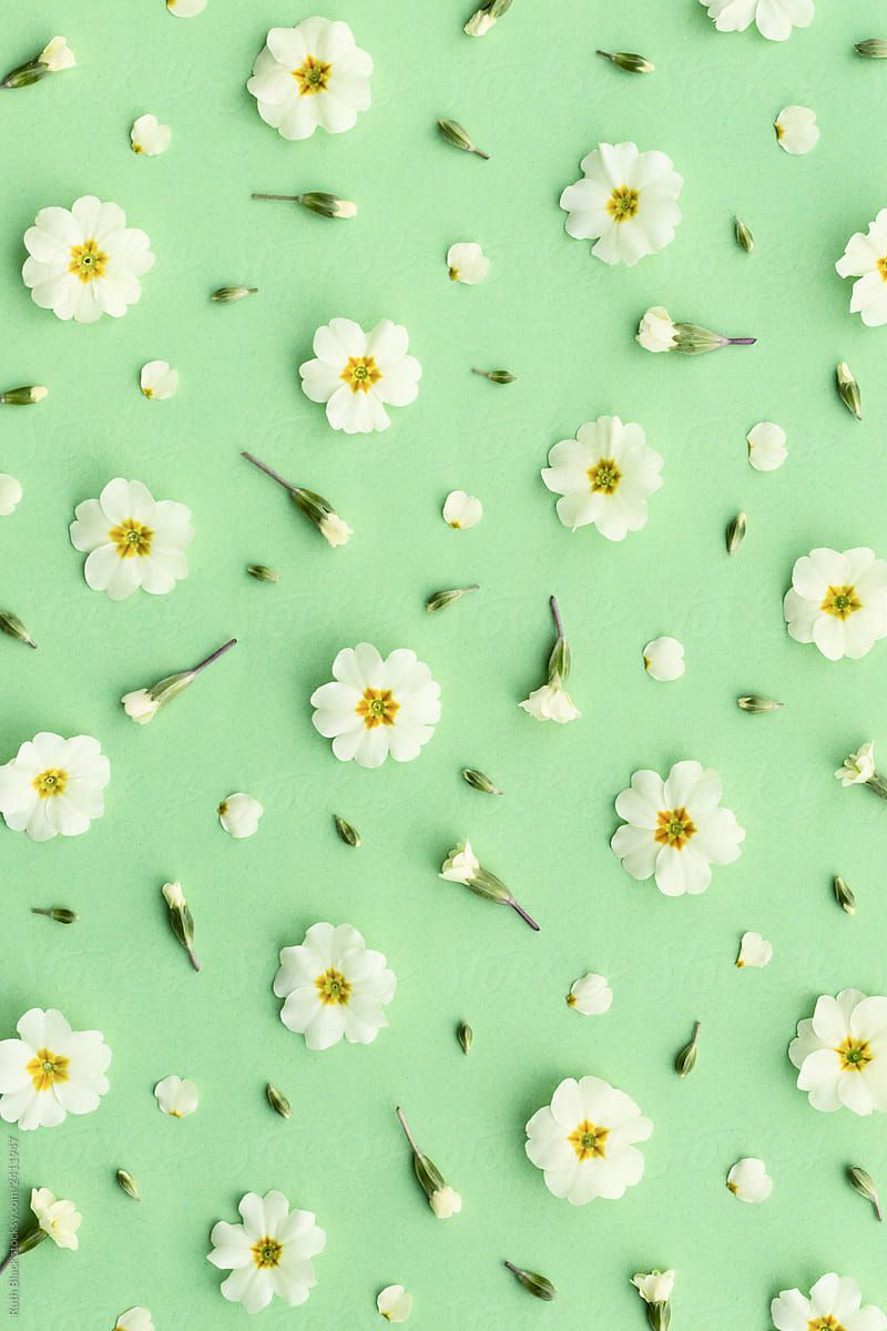 Detail Green Flower Wallpaper Nomer 3