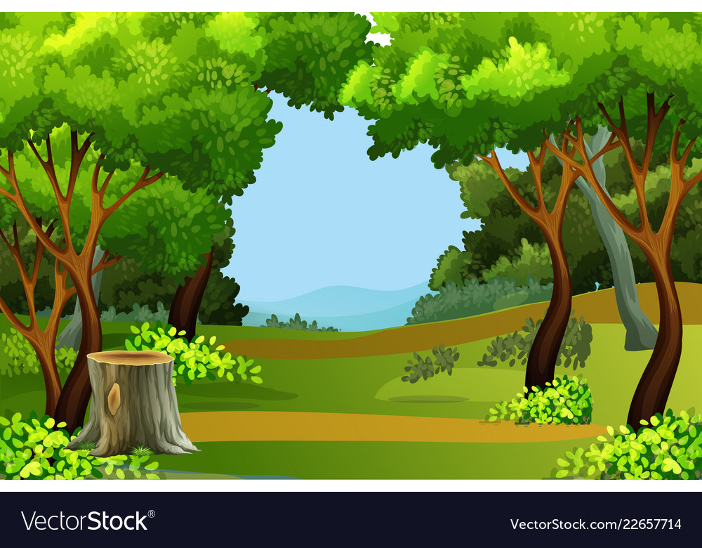 Detail Green Forest Background Nomer 56