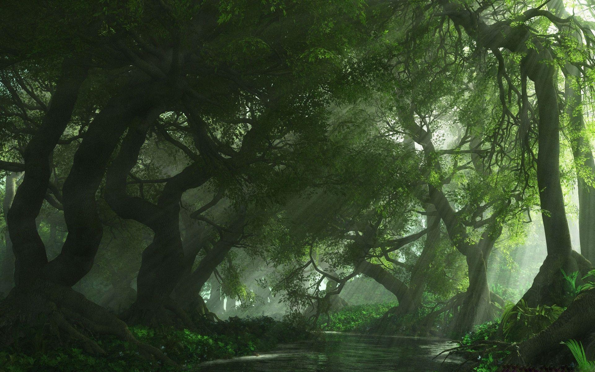 Detail Green Forest Wallpaper Nomer 27