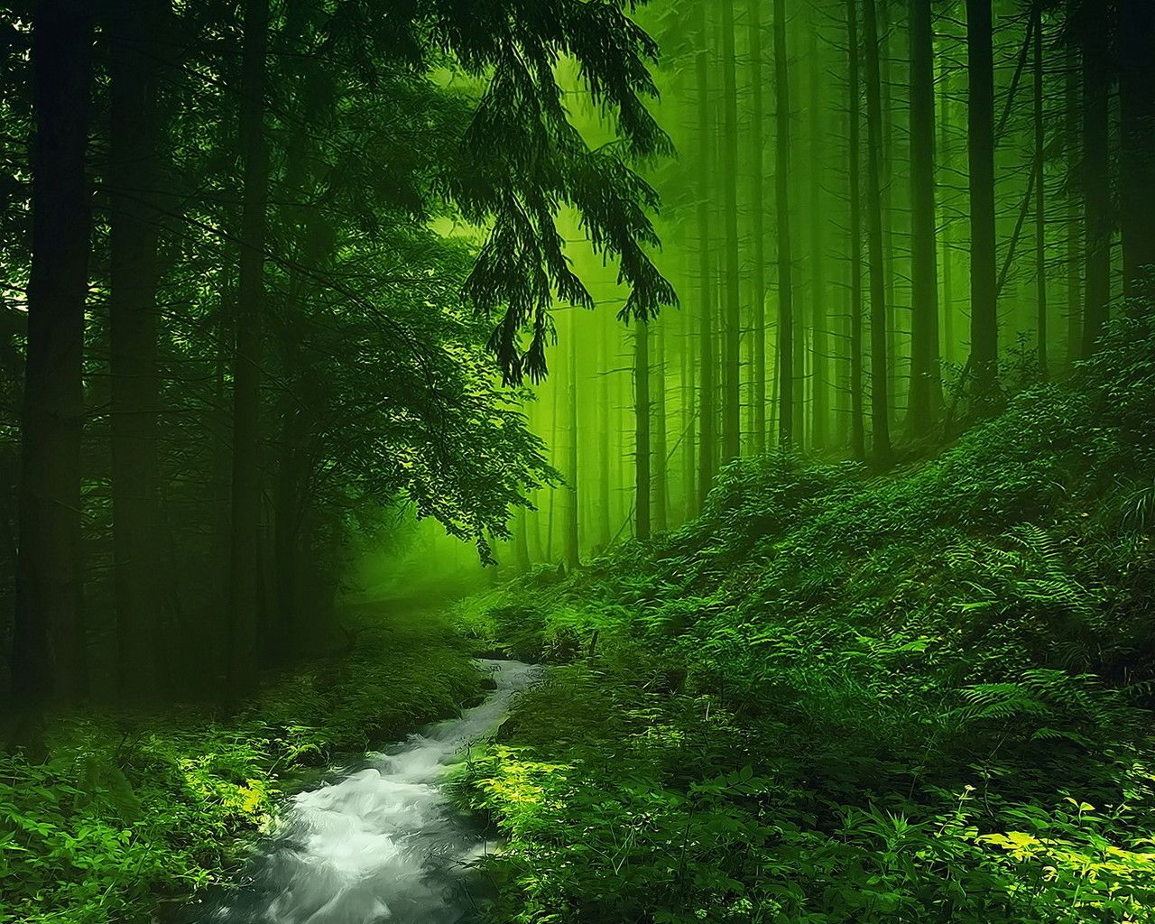 Detail Green Forest Wallpaper Nomer 5