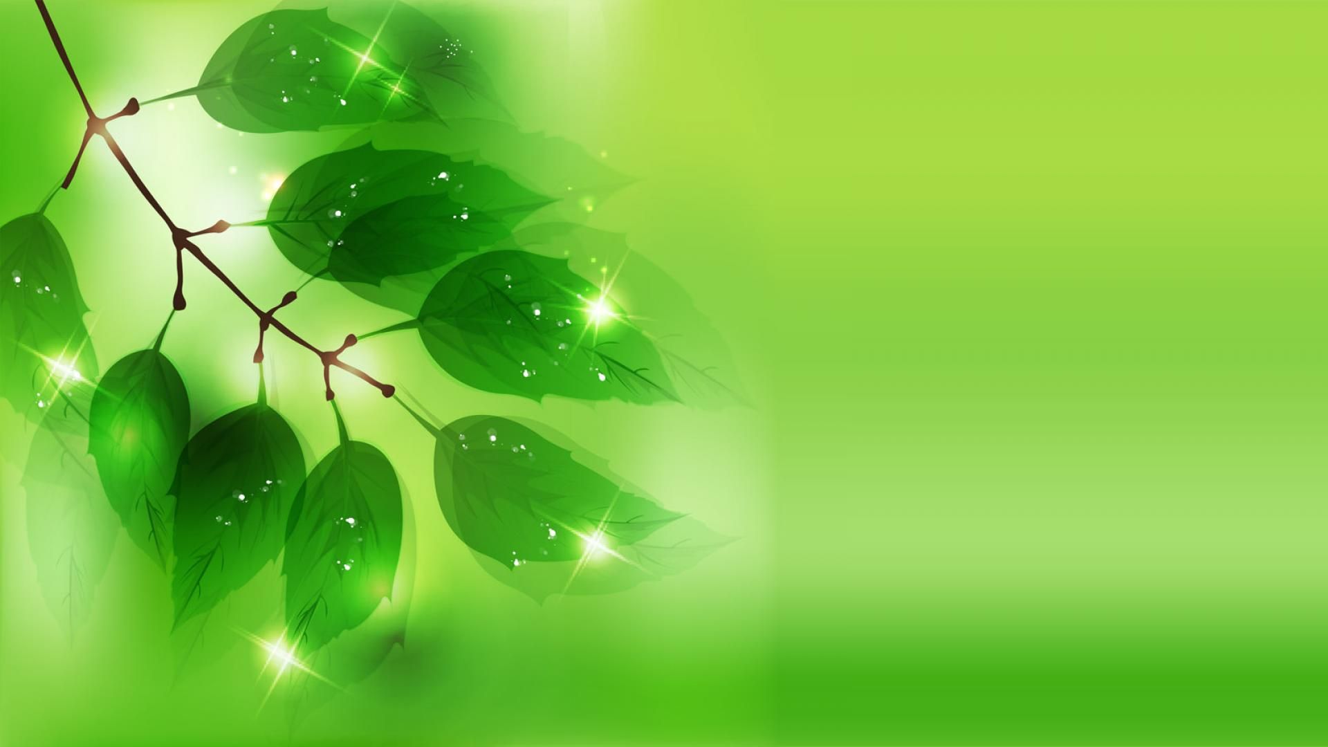 Detail Green Hd Background Nomer 3
