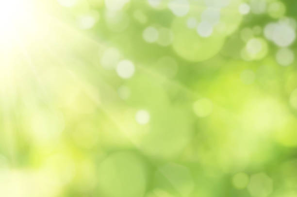Detail Green Hd Background Nomer 24