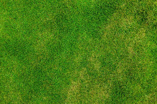 Detail Green Hd Background Nomer 27
