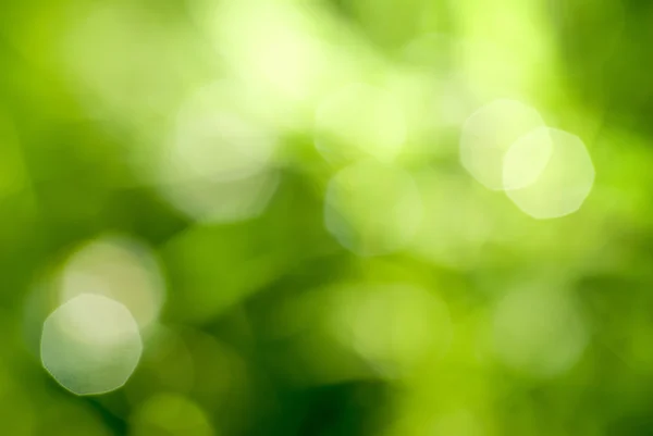 Detail Green Hd Background Nomer 32