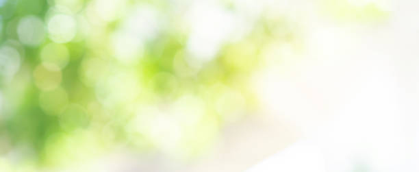 Detail Green Hd Background Nomer 46