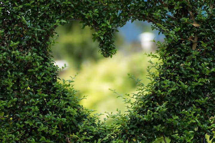 Detail Green Hd Background Nomer 49